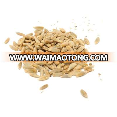 Premium Quality Rye Grain For Sale